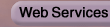 Web Services